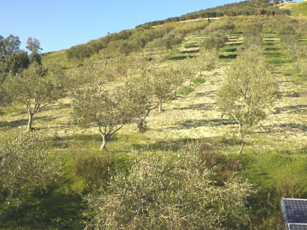 Villa Agriturismo Due Ganee Agrigent Exterior foto